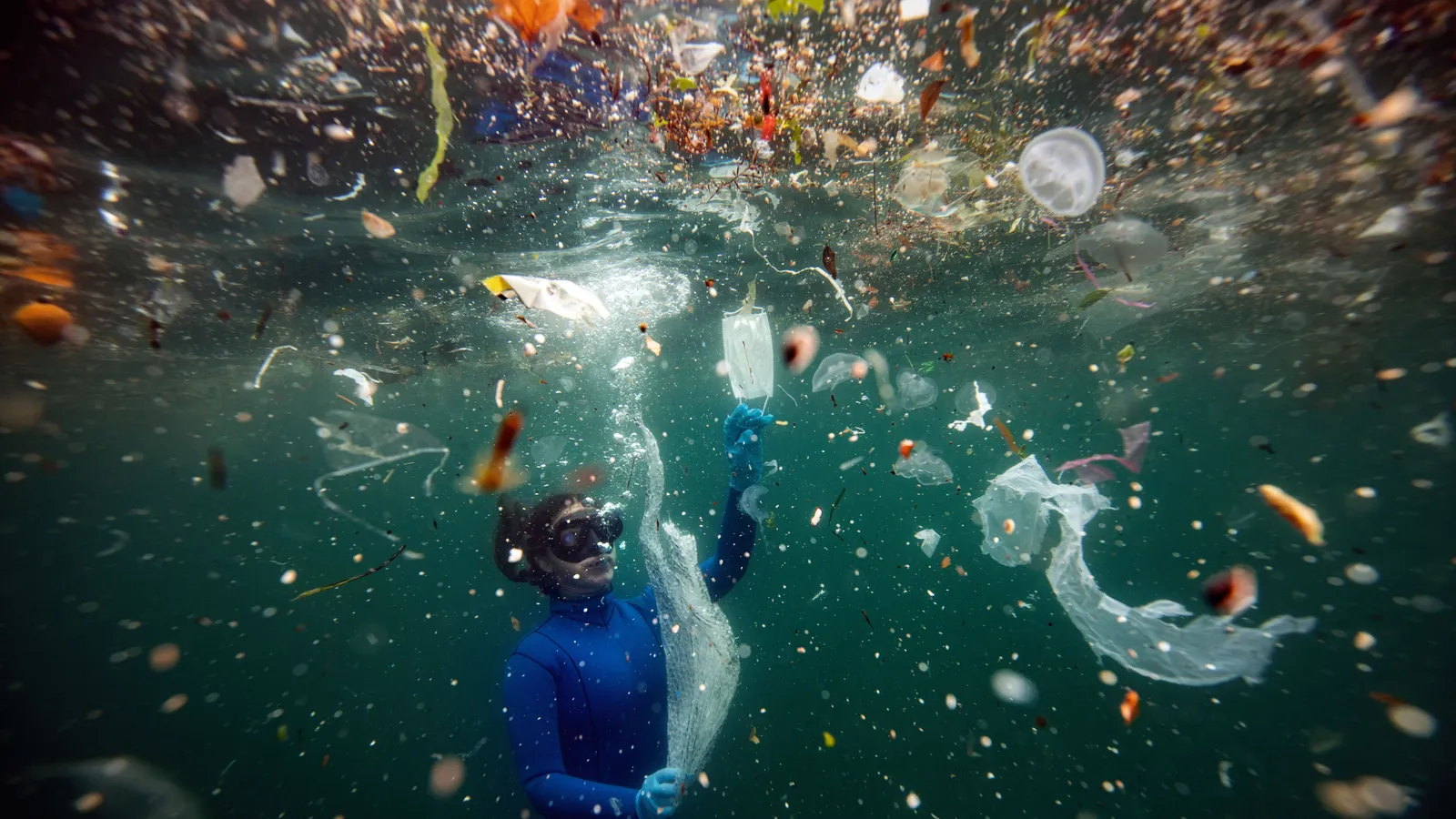 Para 2050, los ecosistemas marinos tendrán más plástico que peces; sí hay una solución si los países actúan ahora